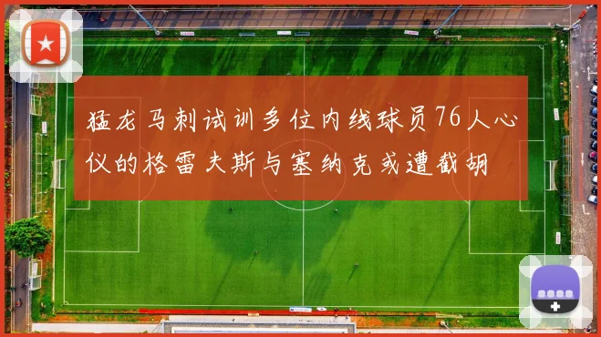 猛龙马刺试训多位内线球员76人心仪的格雷夫斯与塞纳克或遭截胡