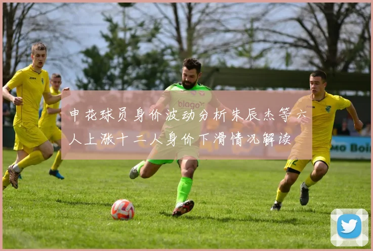 申花球员身价波动分析朱辰杰等六人上涨十二人身价下滑情况解读