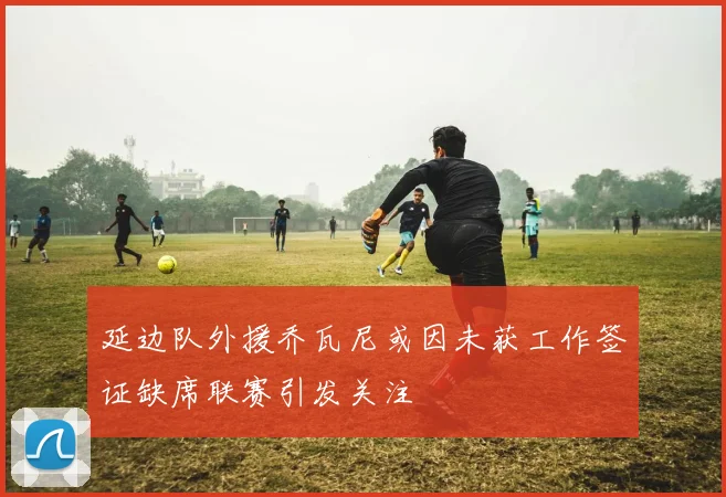 延边队外援乔瓦尼或因未获工作签证缺席联赛引发关注